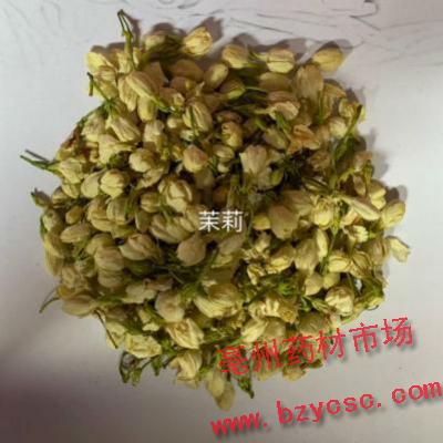 茉莉花_茉莉