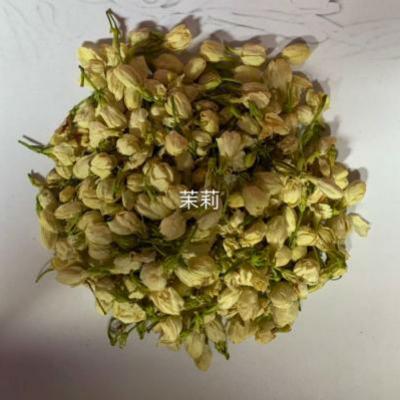 茉莉花_茉莉