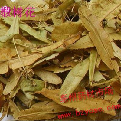 椴树花