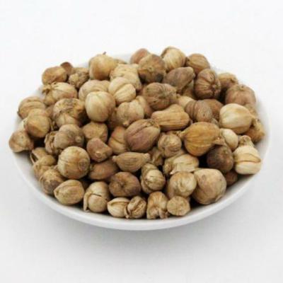 白豆蔻