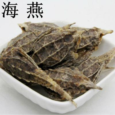 海燕_海麻雀 